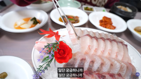 해남 현지인들의 맛집을 찾아서... 땅끝마을 미식여행(삼치회, 닭육회)